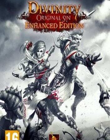 Divinity Original Sin