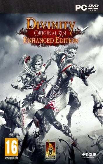 Divinity Original Sin